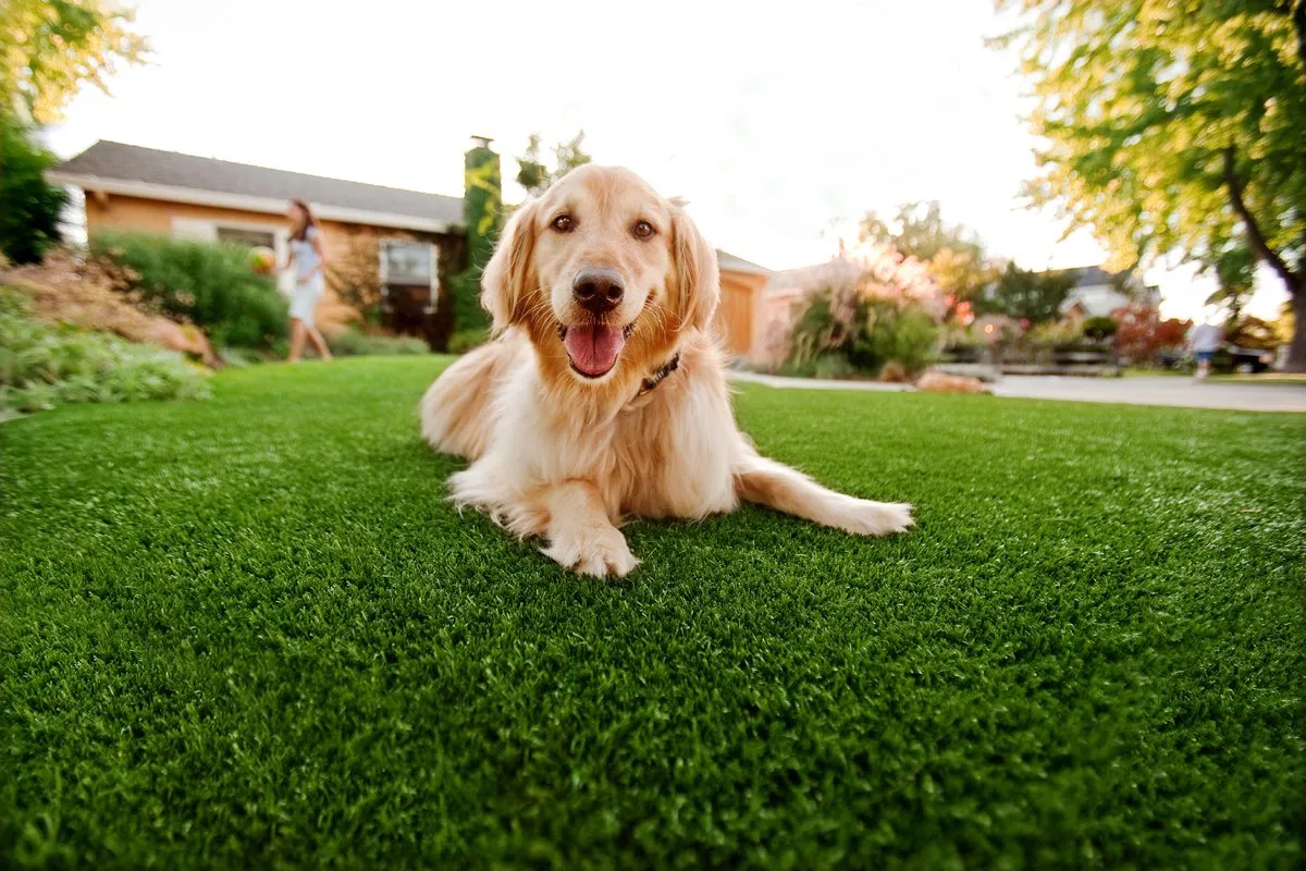 synthetic-turf-for-pets