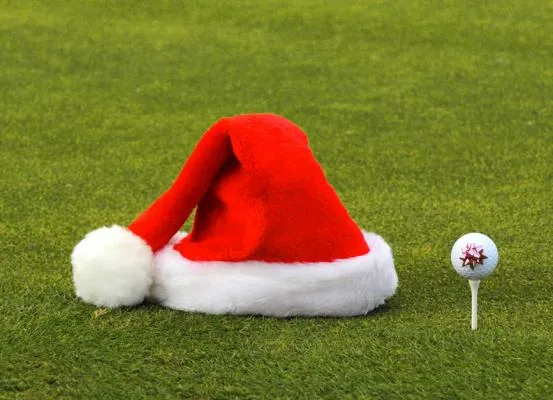 synthetic-turf-at-christmas