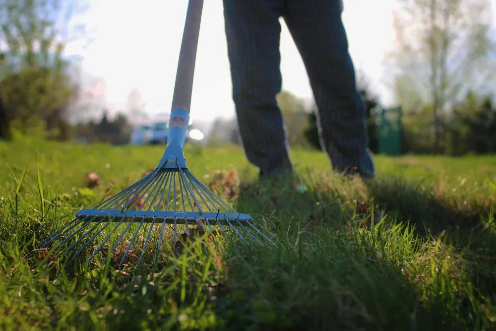 artificial grass care